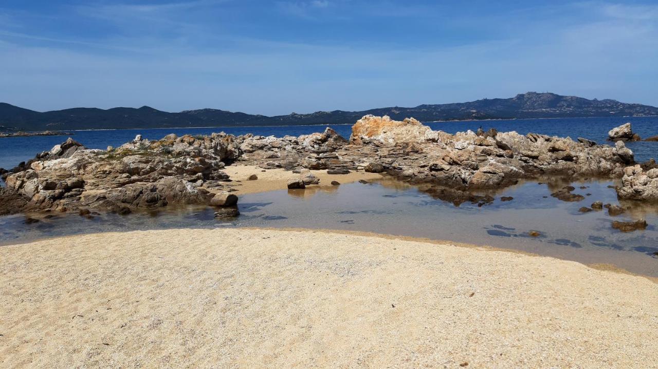 Lo Sguardo Sulla Citta' ,Panoramic View Lejlighed Olbia Eksteriør billede